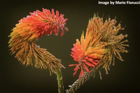 New Open to All Photography Competitions – Open to both members and non-members alike New Open to All Photography Competitions – Open to both members and non-members alike