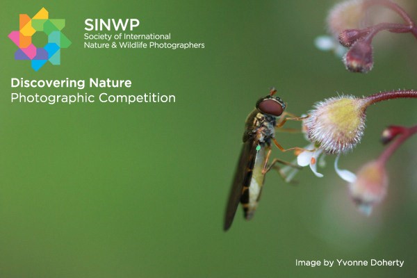 Discovering Nature Photography Competition