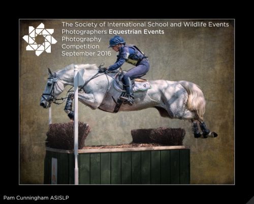 Equestrian Events