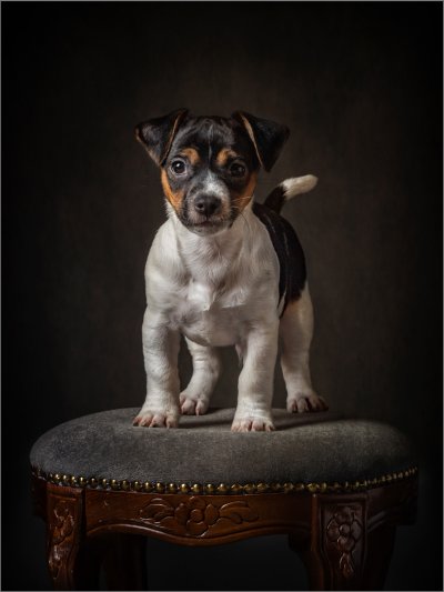 , February 2016 Highly Commended