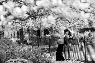 , February 2016 Highly Commended