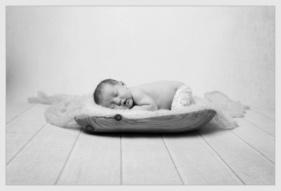 , February 2016 Highly Commended