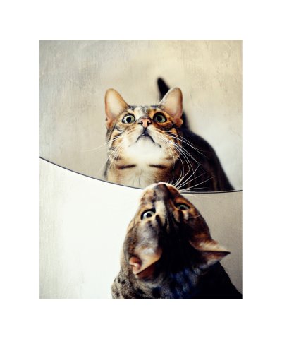 , February 2016 Highly Commended