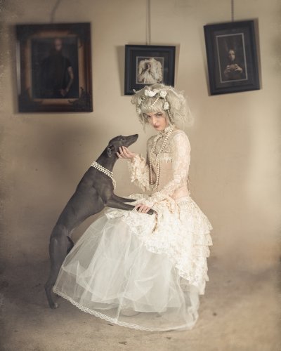 , February 2016 Highly Commended