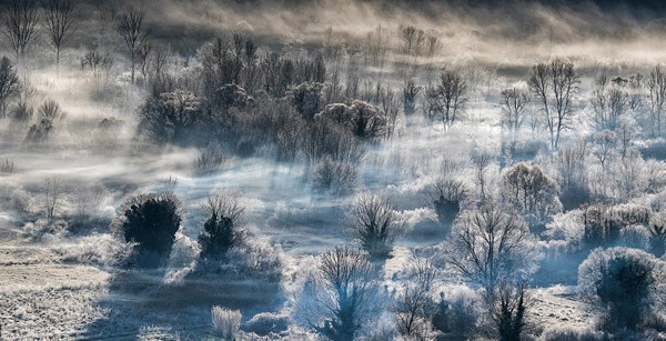 , Nature Photographer of the Year 2016