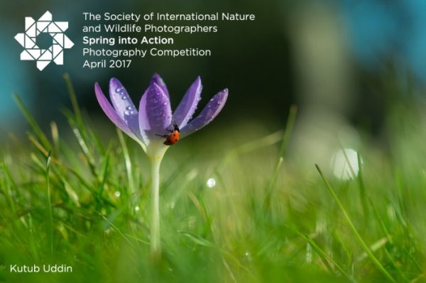 Spring into Action Photography Competition
