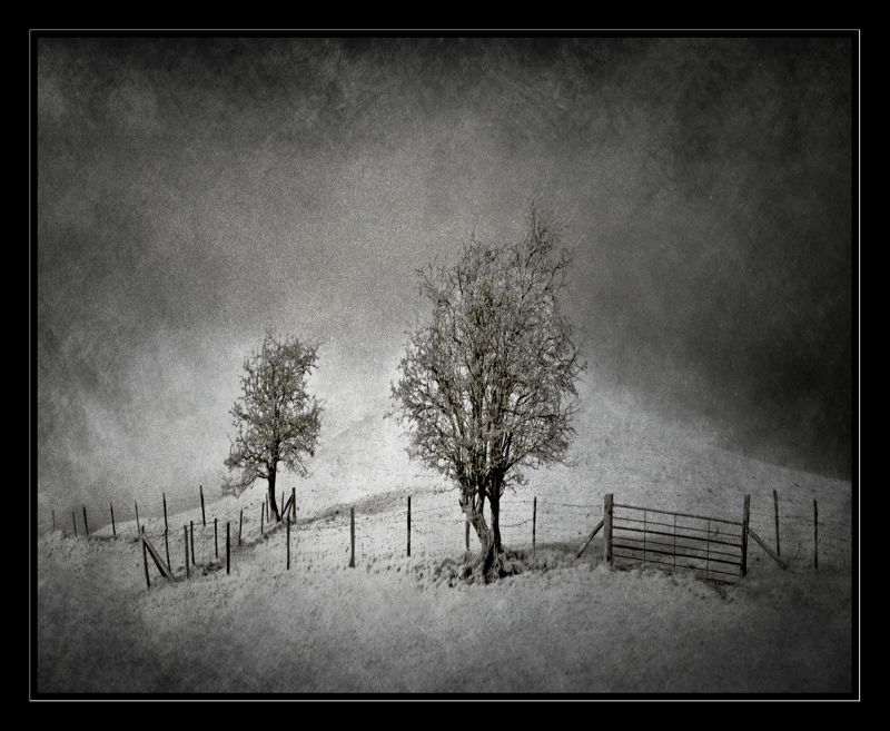 , July 2019 Highly Commended