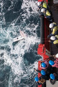 , Winners: Science Photographer of the Year 2019