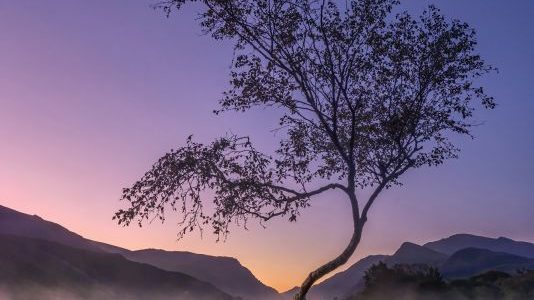 The Societies’ Monthly Image Competition October 2019 – Results Announced The Societies’ Monthly Image Competition October 2019 – Results Announced
