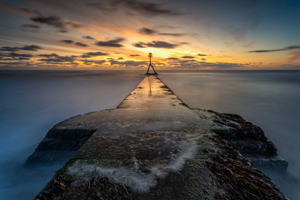 , January 2020 Highly Commended Results