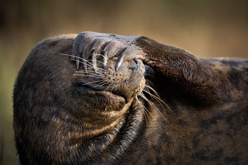 , February 2020 Highly Commended Results