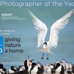 SINWP Bird Photographer of the Year Competition 2020