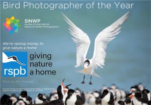 SINWP Bird Photographer of the Year Competition 2020