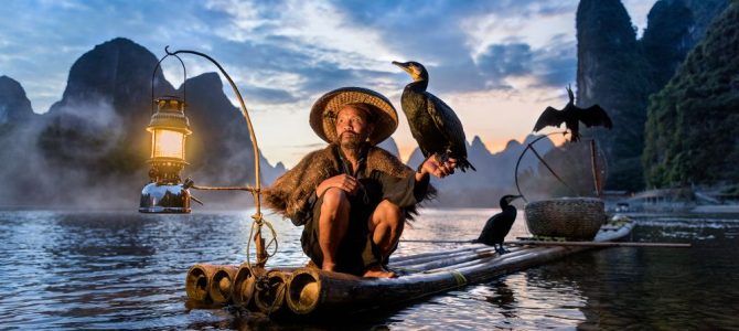 The Societies’ Monthly Image Competition April 2020 – Results Announced The Societies’ Monthly Image Competition April 2020 – Results Announced