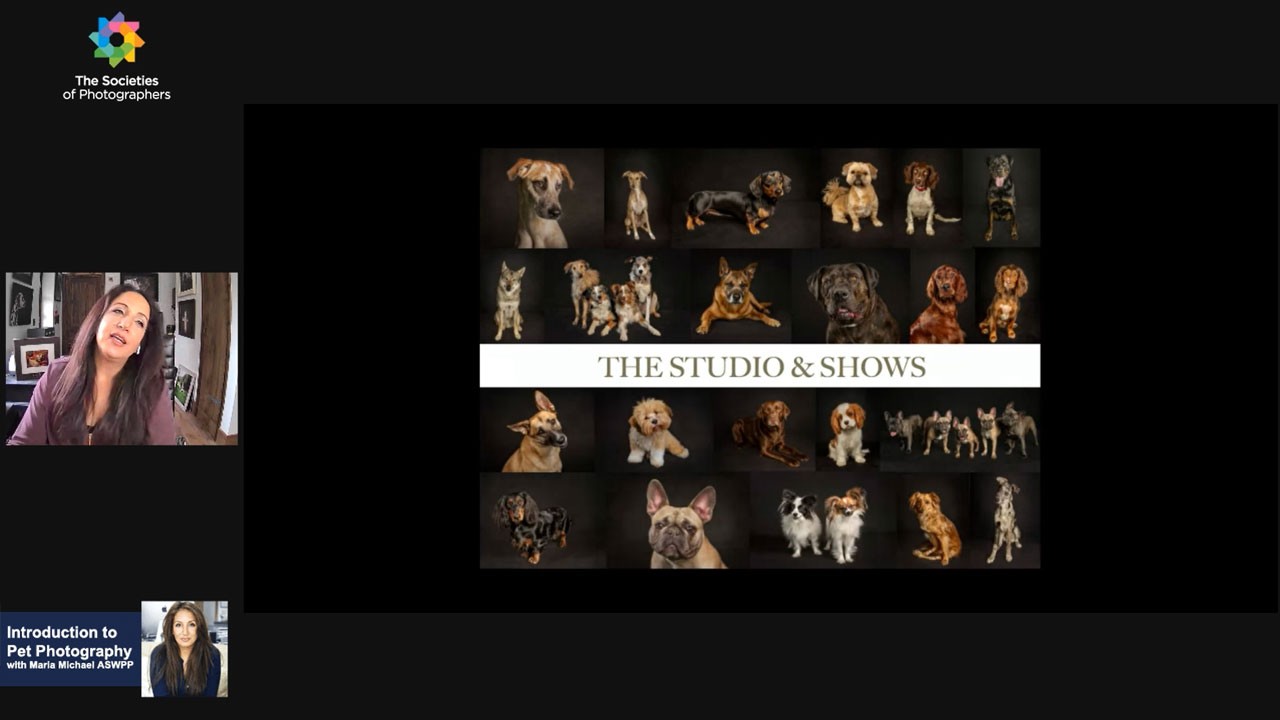 Introduction to Pet Photography with Maria Michael ASWPP