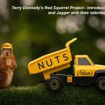 Terry Donnelly's Red Squirrel Project