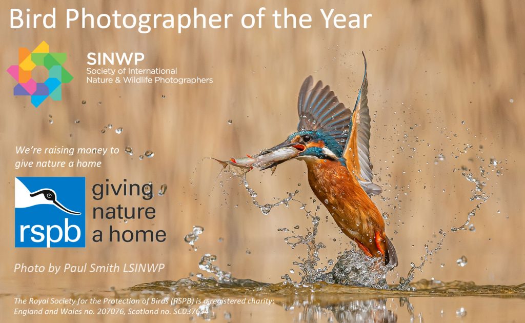 , We are incredibly excited to announce our 2021 SINWP Bird Photographer of the Year Competition in aid of RSPB.