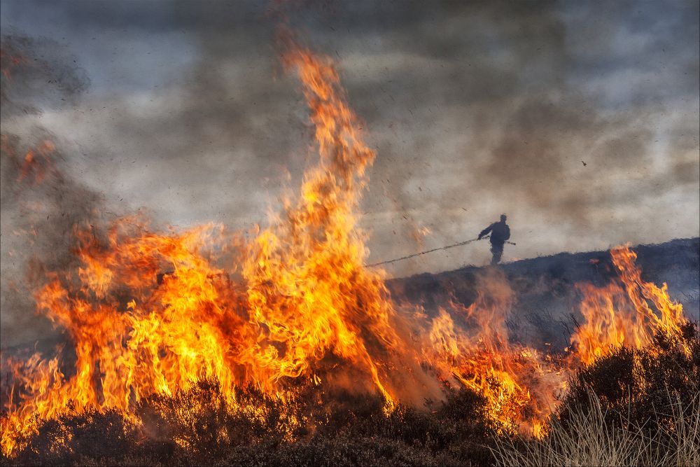 , Environmental Awareness Photographer of the Year 2020