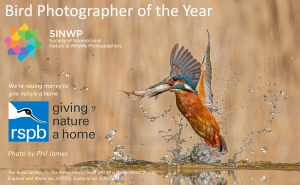 SINWP Bird Photographer of the Year 2021 in aid of RSPB