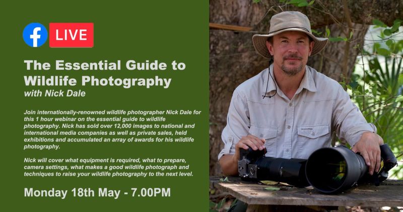 The Essential Guide to Wildlife Photography with Nick Dale