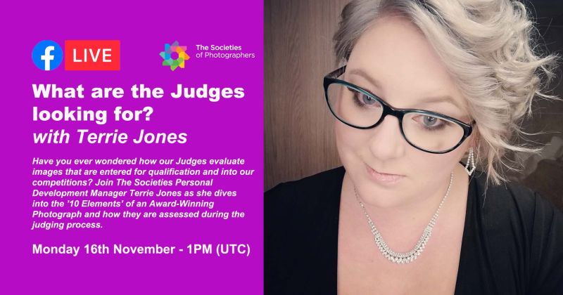 , Webinar: What are the Judges looking for? with Terrie Jones