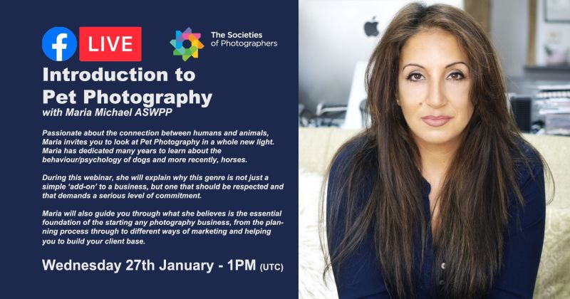 Webinar: Introduction to Pet Photography with Maria Michael ASWPP - The  Society of Photographers