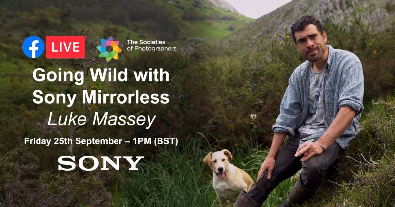 Webinar: Going Wild with Sony Mirrorless with Luke Massey