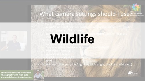 Wildlife Photography Webinars