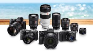 Sony Summer Cashback