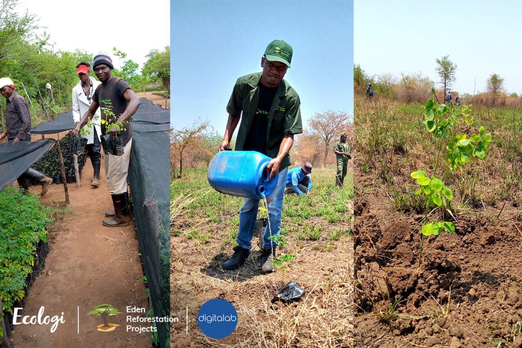 tree will be planted to help replace the wood and energy used in construction of that product