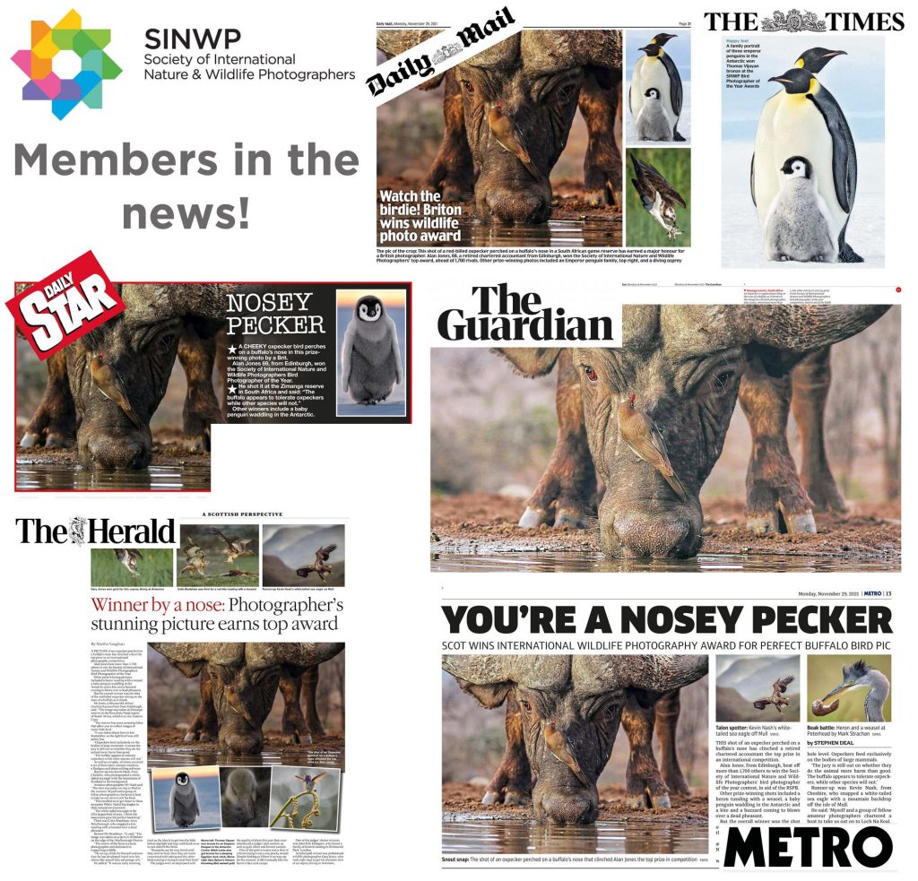 , Read all about it – Members in the news!