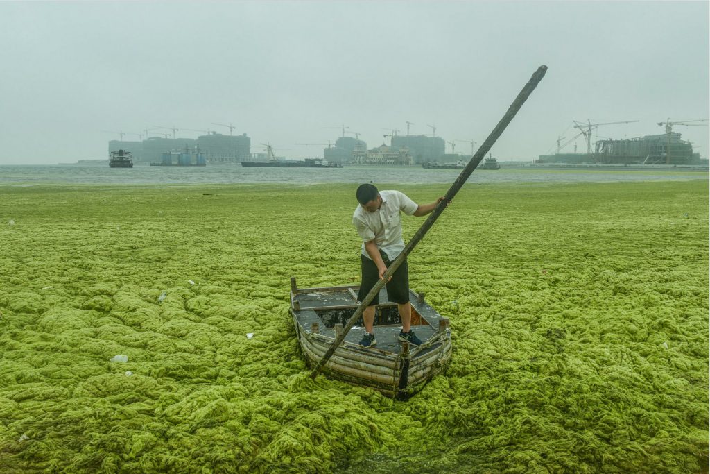 © Yang, Tongyu: Seasonal Sea, Qingdao, 2016 杨同玉 《季节海》