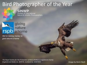 SINWP Bird Photographer of the Year 2022 in aid of RSPB