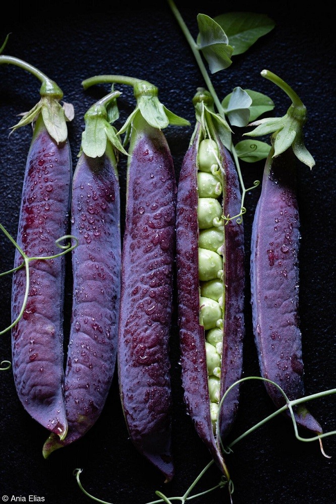 Purple Podded Peas by Ania Elis