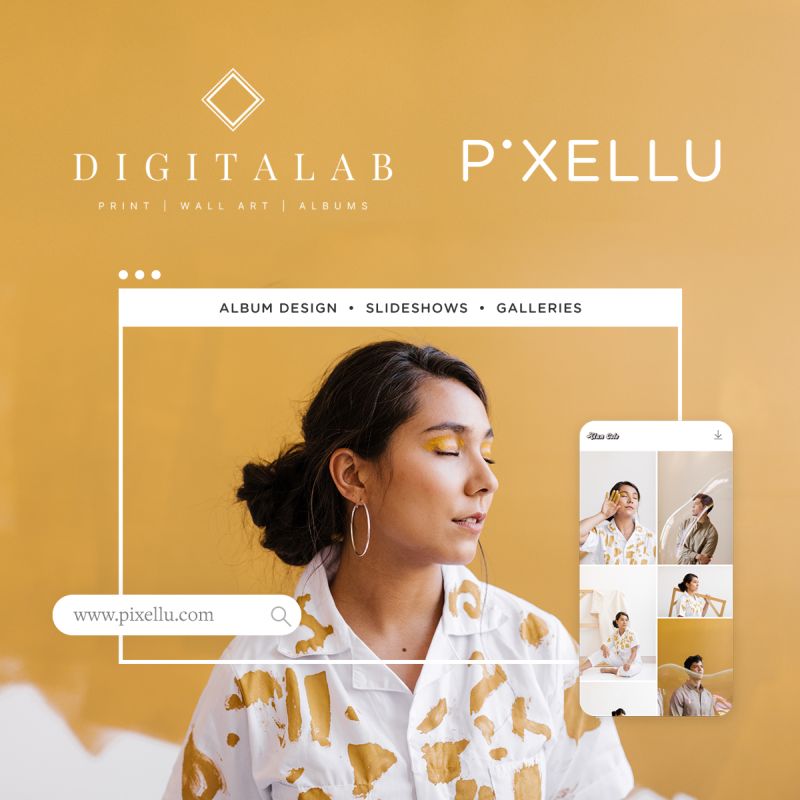 , Digitalab partners with Pixellu