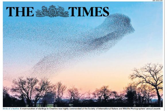 , SINWP Bird Photographer of the Year 2022 in aid of RSPB in the news!