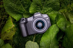 Canon EOS R8