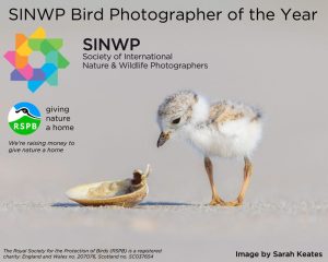 SINWP Bird Photographer of the Year 2023 in aid of RSPB