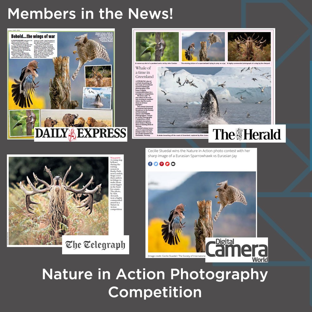 , Nature in Action Photography Competition &#8211; In the Newspapers.