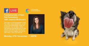 Webinar: Fundamentals of Epic Pet Portraiture with Jessica McGovern