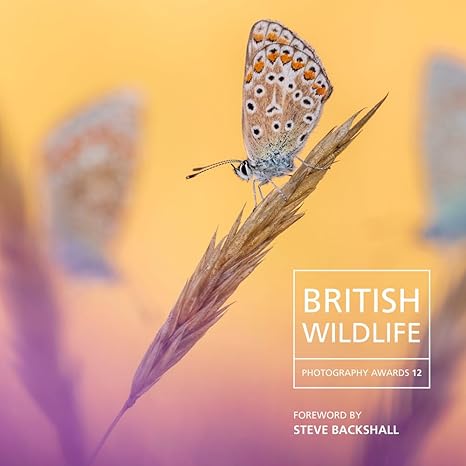 British Wildlife Photography Awards 2024 12