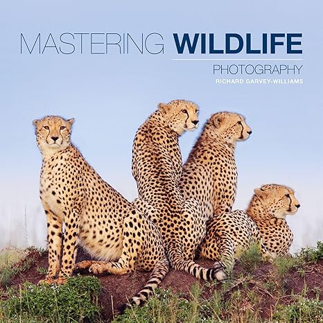 Mastering Wildlife Photography 