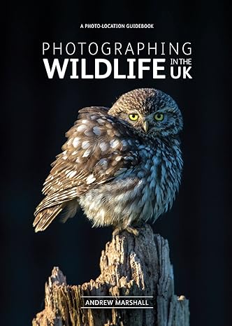 Photographing Wildlife in the UK - where and how to take great wildlife photographs