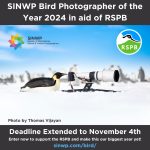 SINWP Bird Photographer of the Year 2024