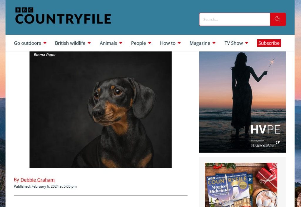 , Enter the Pet Photography Competition and Showcase Your Pet Portrait Skills!