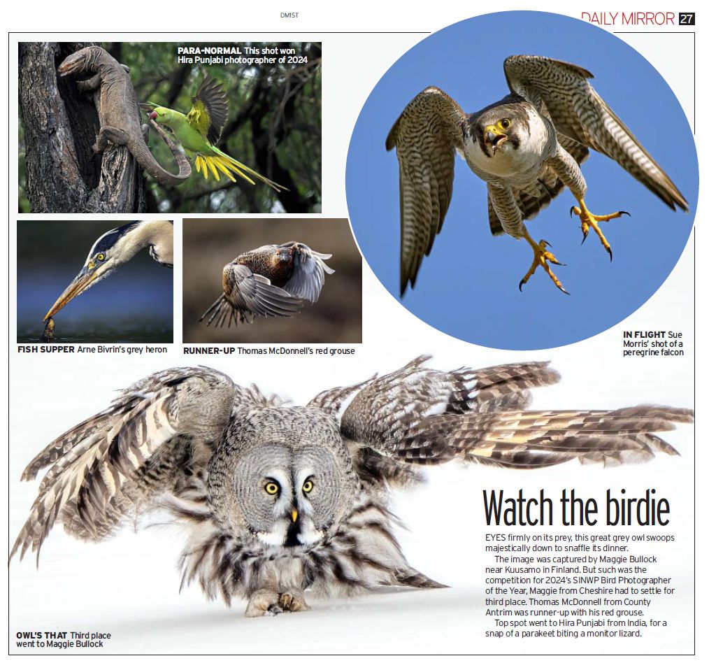 , The SINWP Bird Photographer of the Year Competition, supporting the RSPB, has made headlines!