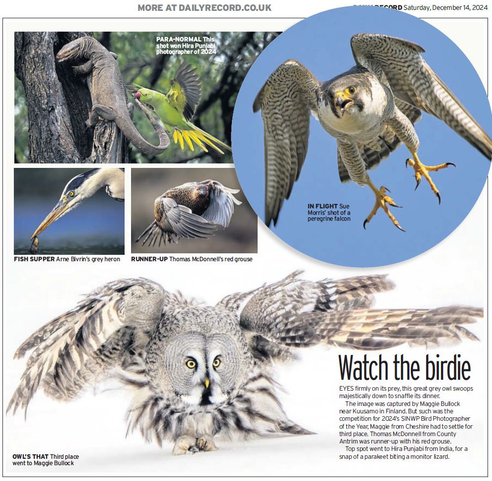 , The SINWP Bird Photographer of the Year Competition, supporting the RSPB, has made headlines!