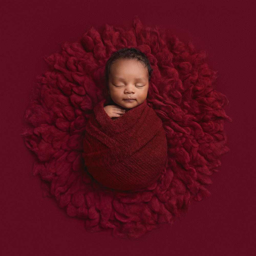 , 20 x 16″ Newborn Photographer of the Year 2025