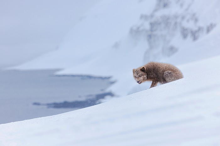 Jacki Gordon - Global Travel Photography Competition