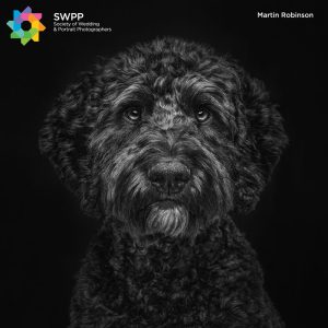 Pet Portraits Photography Competition - Results Announced